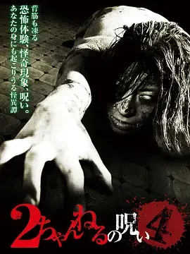 《2ch的诅咒 Vol.4[电影解说]》全集高清完整版在线观看与剧情解析