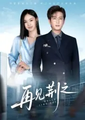 《再见荆之》全集高清完整版在线观看与剧情解析