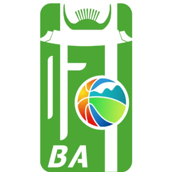 《和美乡村篮球赛 DAY8体育馆会场下午场20251103》全集高清完整版在线观看与剧情解析