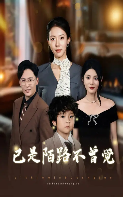 《已是陌路不曾觉》全集高清完整版在线观看与剧情解析