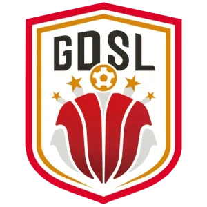 广东省足球超级联赛 深圳艺品高vs梅州强民20251129