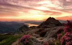 《应该靠自己》全集高清完整版在线观看与剧情解析