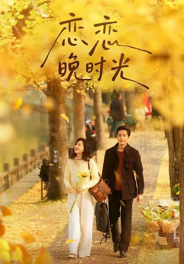 《恋恋晚时光》全集高清完整版在线观看与剧情解析