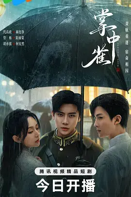 《掌中雀》全集高清完整版在线观看与剧情解析