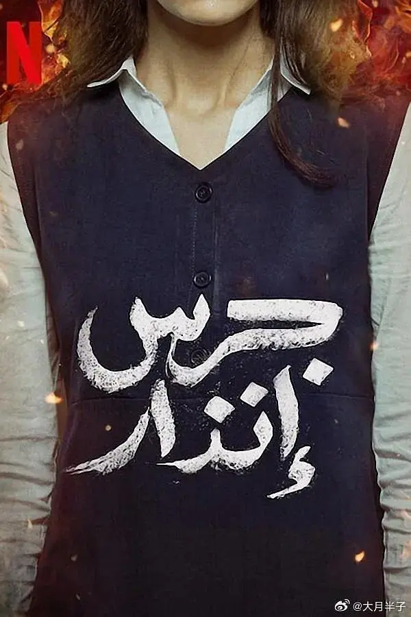 《校园火劫》全集高清完整版在线观看与剧情解析