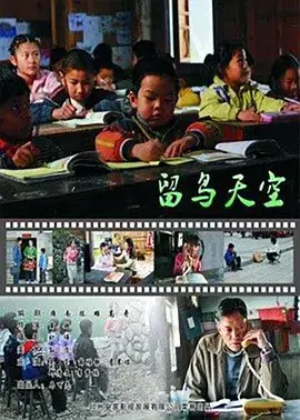 《留鸟天空》全集高清完整版在线观看与剧情解析