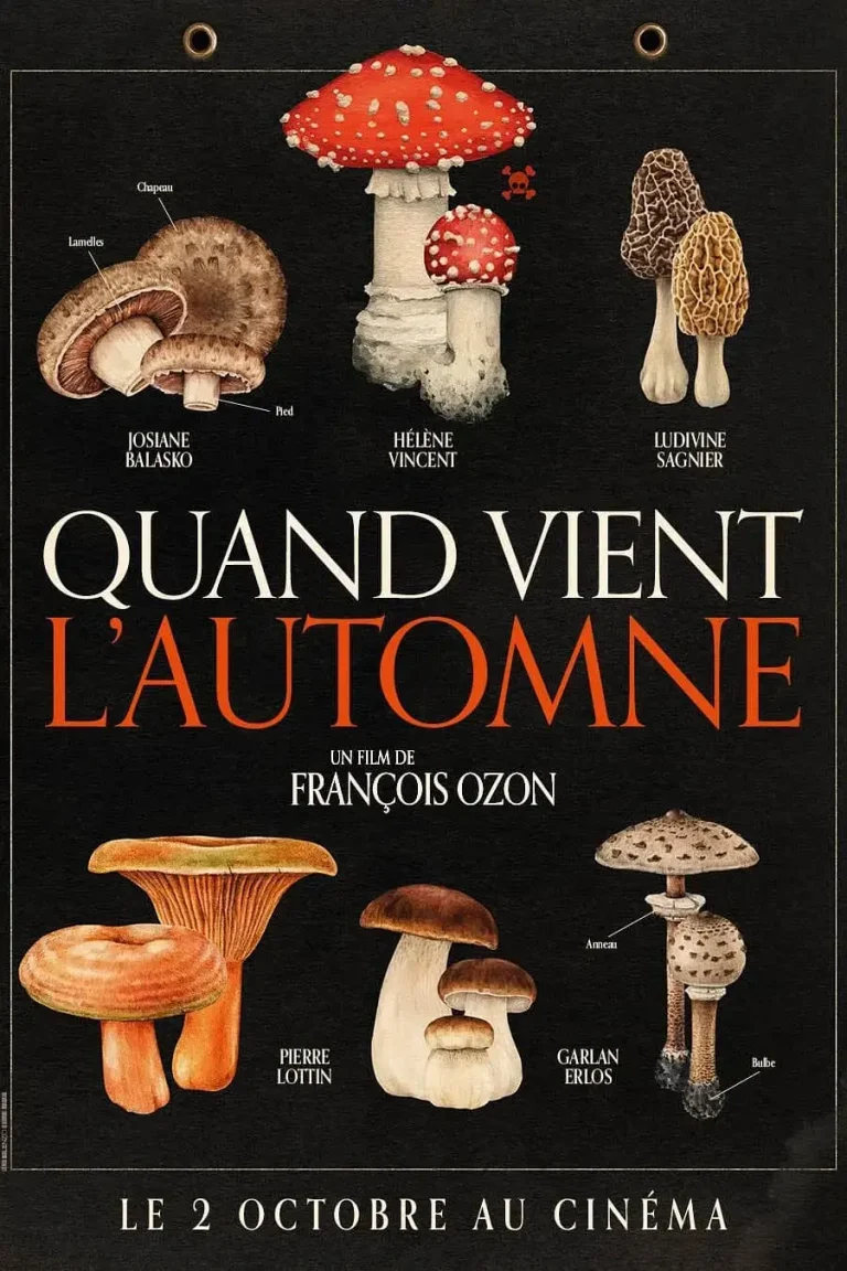 《秋日何时来》全集高清完整版在线观看与剧情解析