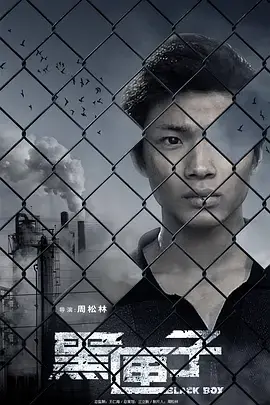 《黑匣子2010》全集高清完整版在线观看与剧情解析